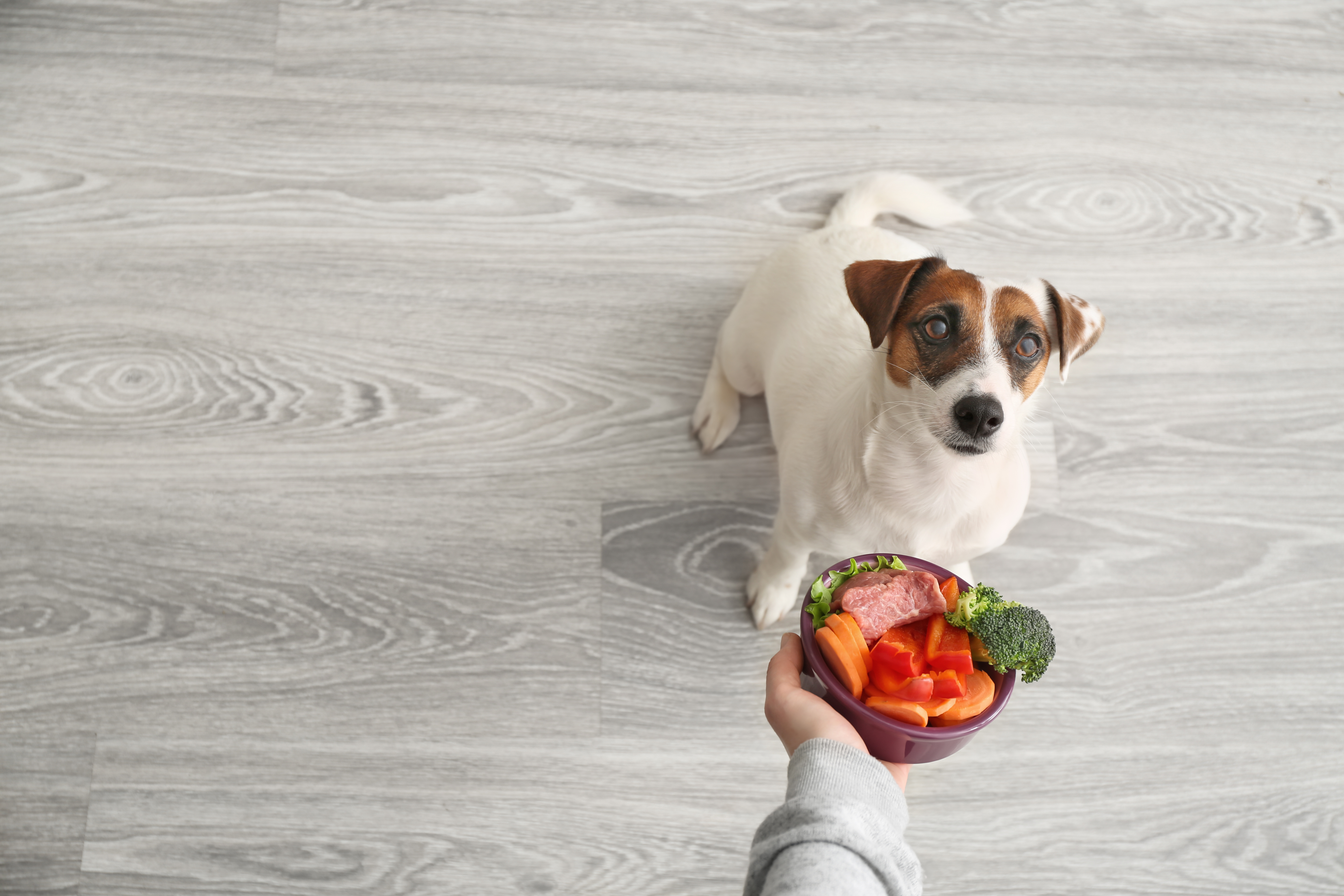 Healthy food and fitness